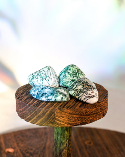 Tree Agate Tumbled Gemstone