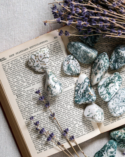 Tree Agate Tumbled Gemstone