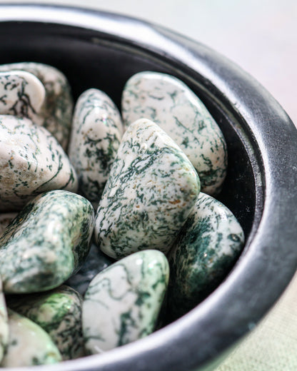 Tree Agate Tumbled Gemstone