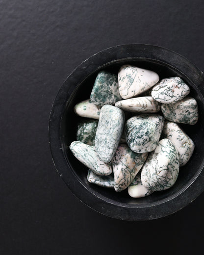 Tree Agate Tumbled Gemstone