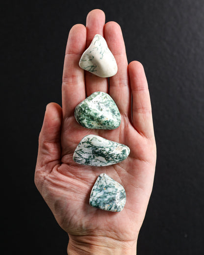 Tree Agate Tumbled Gemstone