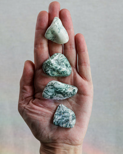 Tree Agate Tumbled Gemstone