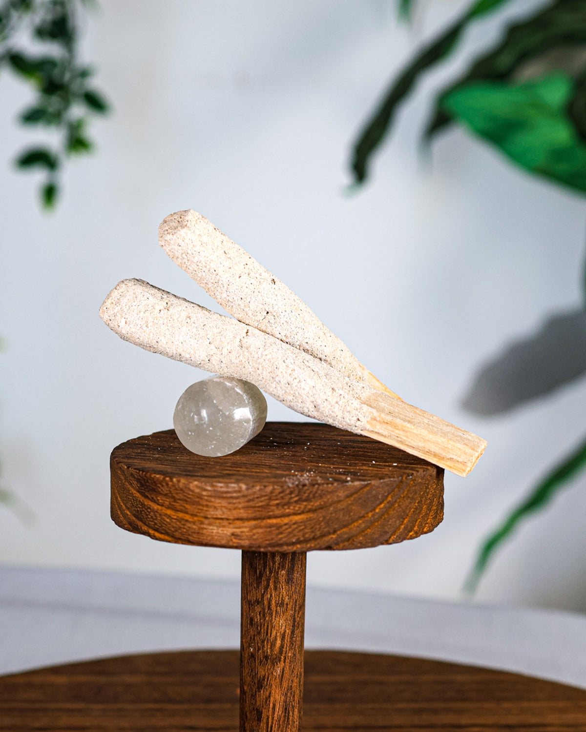 White Copal Dipped Palo Santo Sticks (3)
