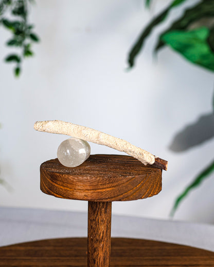 White Copal Dipped Sage Branch Sticks (4)