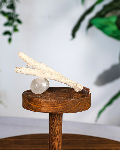 White Copal Dipped Sage Branch Sticks (4)