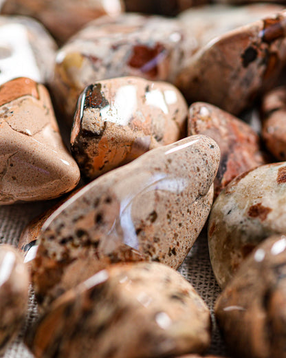 Brecciated Jasper (White) Tumbled Gemstone