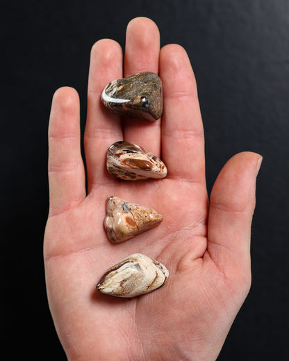 Brecciated Jasper (White) Tumbled Gemstone