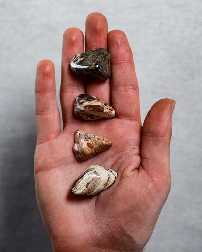 Brecciated Jasper (White) Tumbled Gemstone