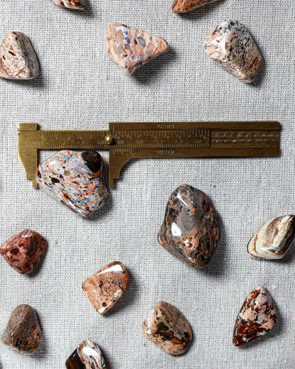 Brecciated Jasper (White) Tumbled Gemstone