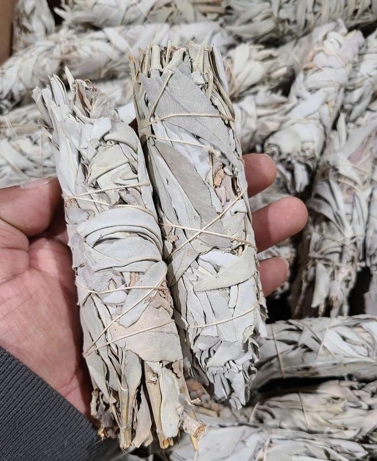 California White Sage Smudging Stick 4"