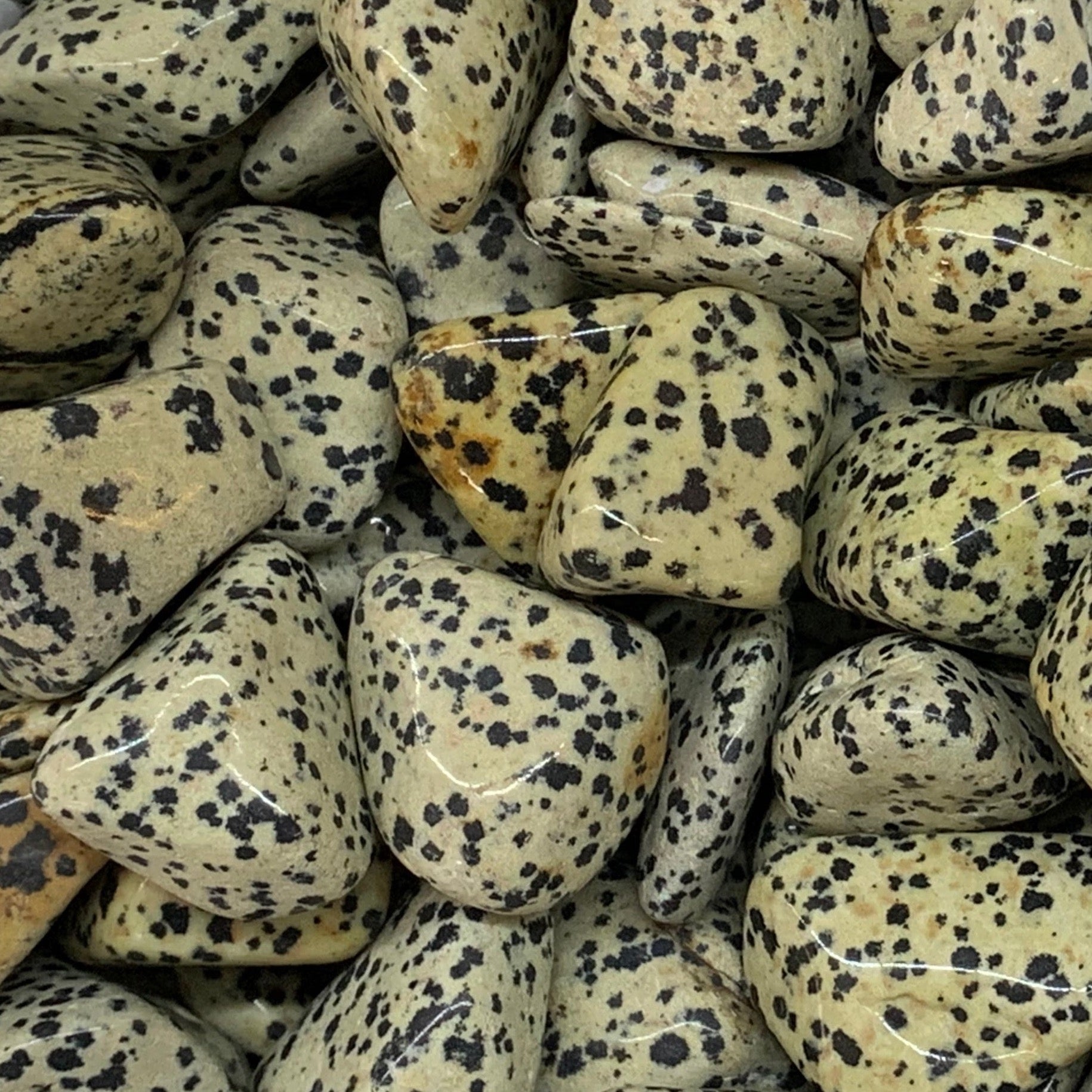 Dalmatian Jasper Tumbled Gemstone Tumbled Joyful Fun 