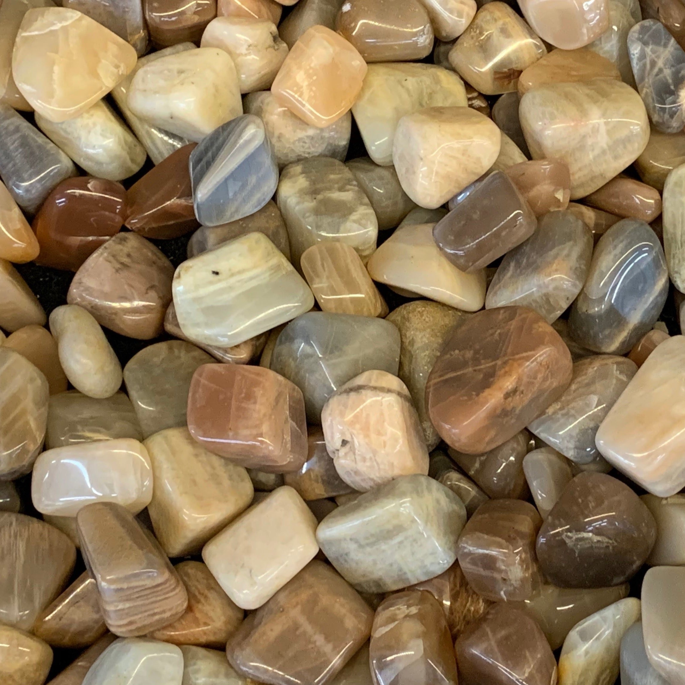 Earth Moonstone Tumbled Gemstone Tumbled Opens the Heart 