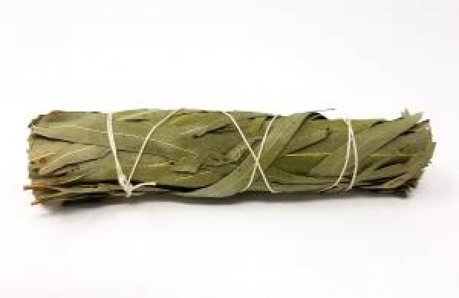 Eucalyptus Smudging Stick 4"