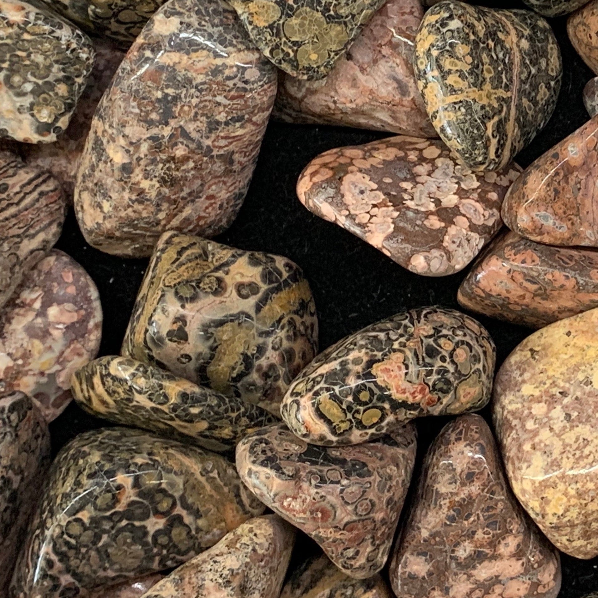 Leopard Skin Jasper Tumbled Gemstone Tumbled Power animal 