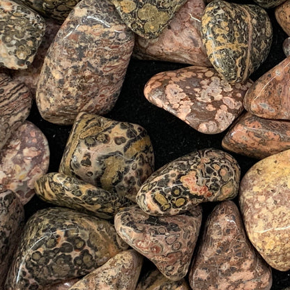 Leopard Skin Jasper Tumbled Gemstone Tumbled Power animal 