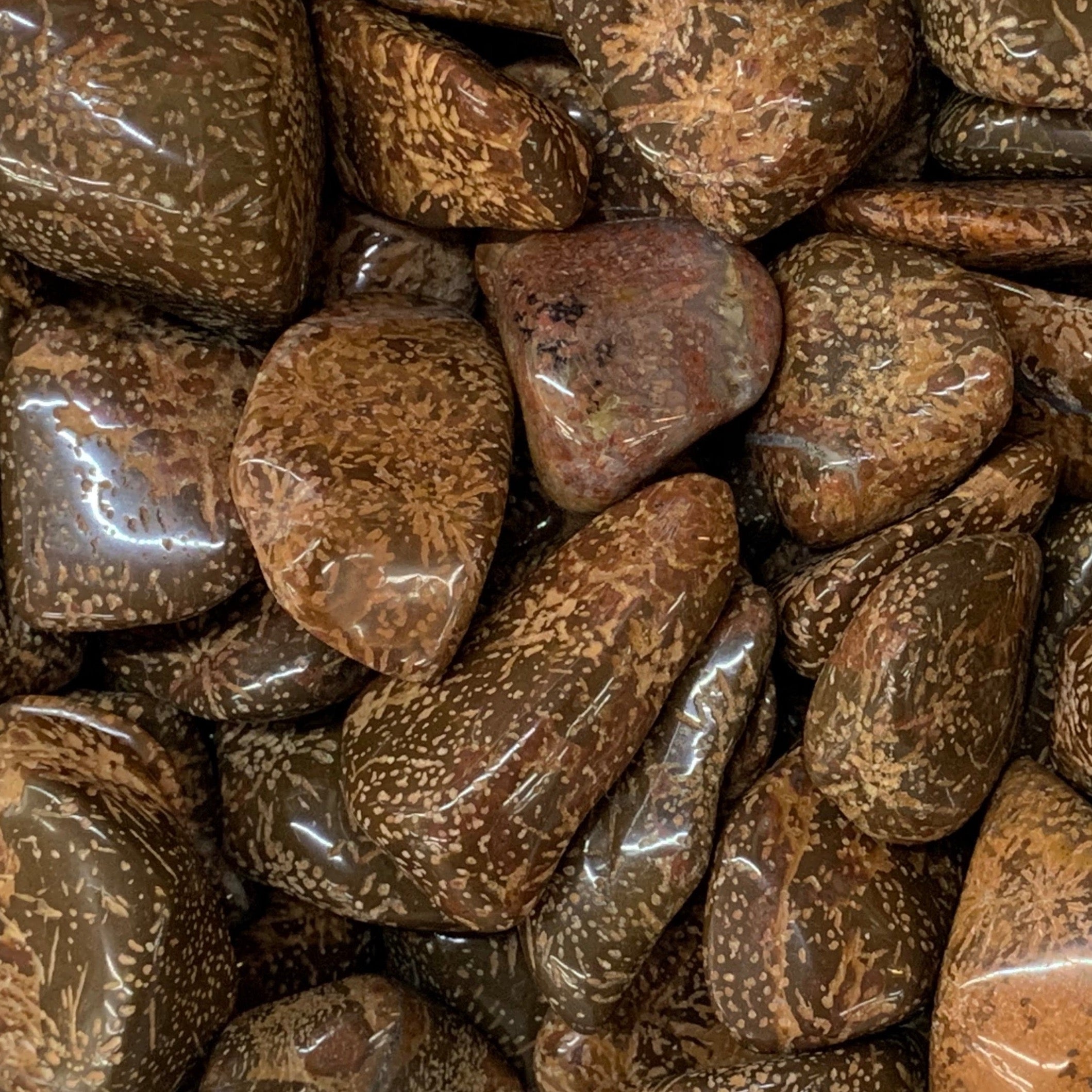Star Jasper Tumbled Gemstone Tumbled Supreme Nurturer 