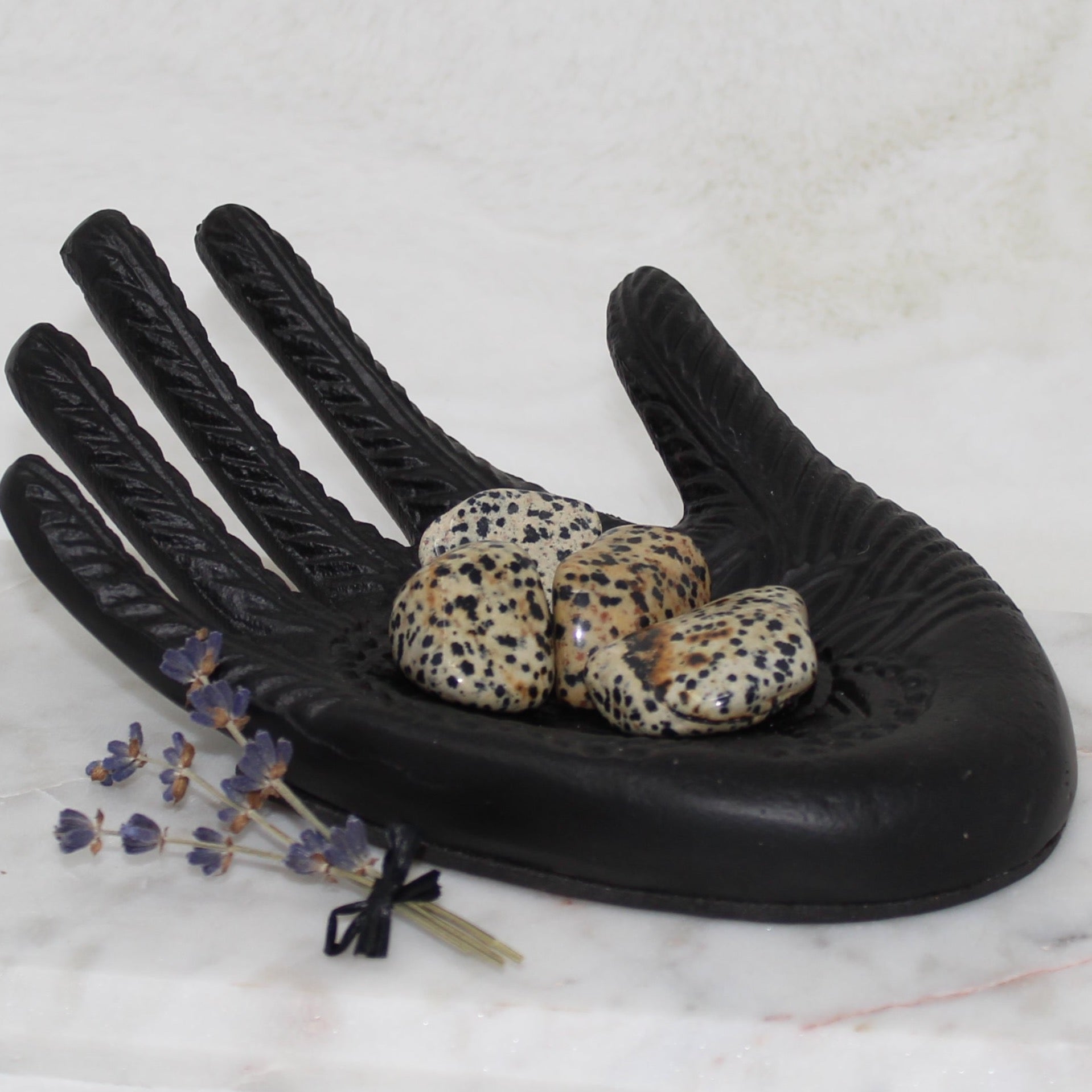 Dalmatian Jasper Tumbled Gemstone Tumbled Joyful Fun 